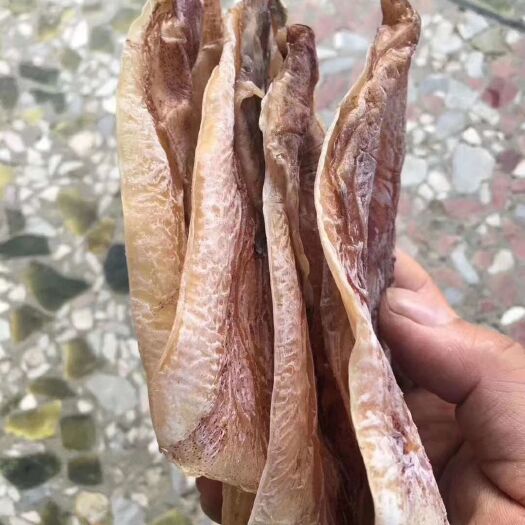 遂溪县 船晒鱿鱼