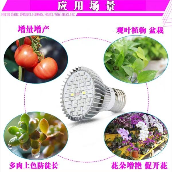 植物补光灯 30.50.80.100W