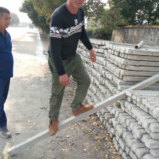 兴安县立柱 各类水果架工程系