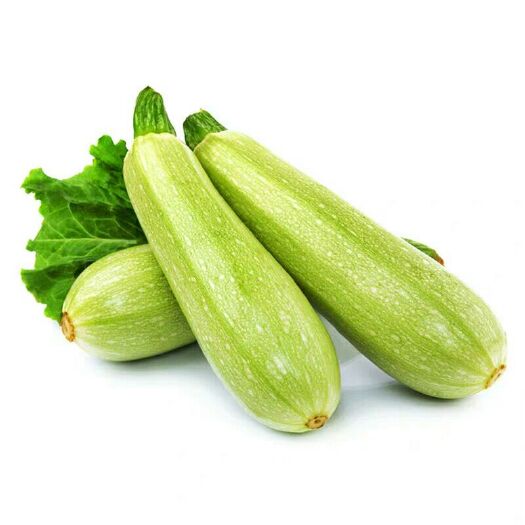 诏安县 精品西葫芦