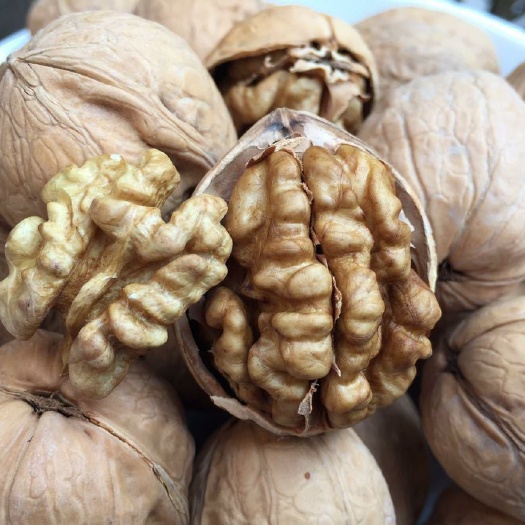 吐鲁番 185核桃 纸皮核桃(特级 特级)