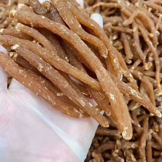  即食小红参
