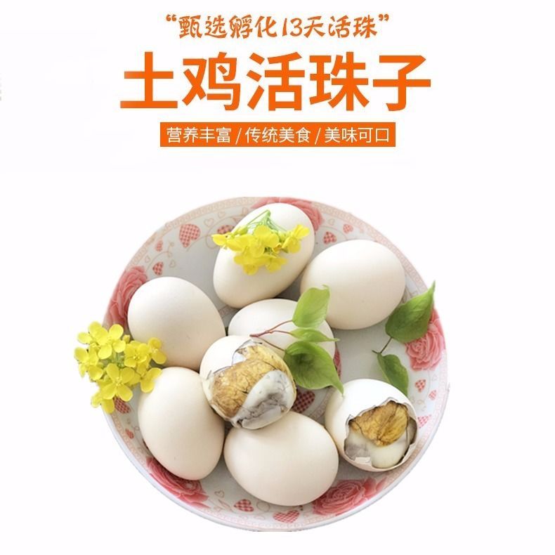 [毛蛋批发] 活珠子 毛蛋 钢化蛋 喜蛋 旺鸡蛋 鸡胚
