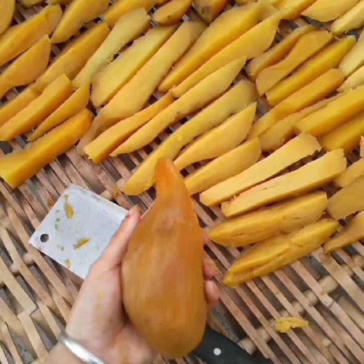 阳山县地瓜干  粤北山货