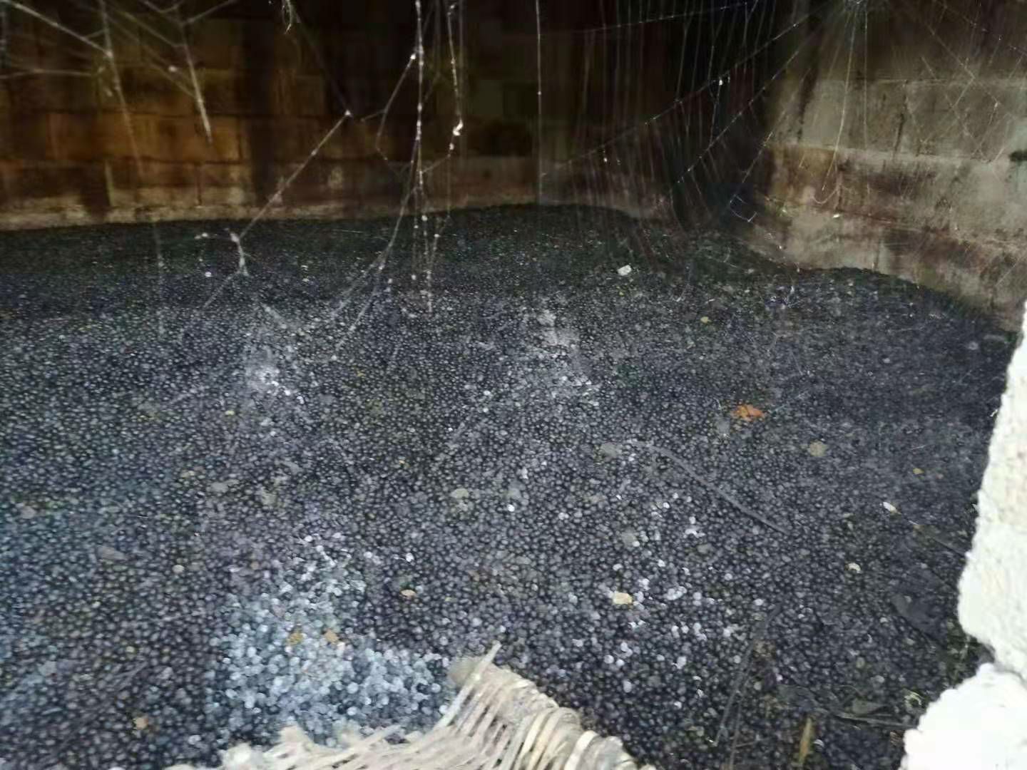 云南本土羊粪长年供应
