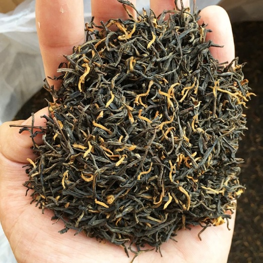  金骏眉红茶高山小种红茶浓香金骏眉批发2020新茶500g散