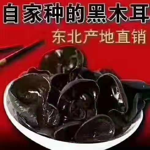 鹤岗 特级椴木黑木耳，基地直供，质地脆滑清新爽口，是一种传统山珍