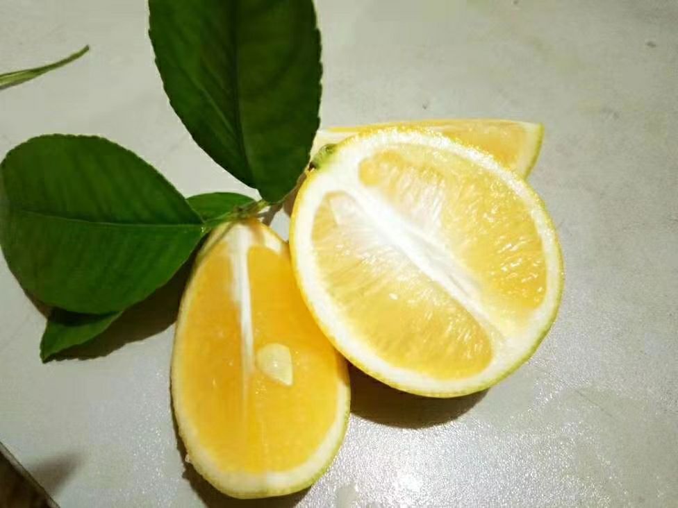  海南黄柠檬万州基地产地直销