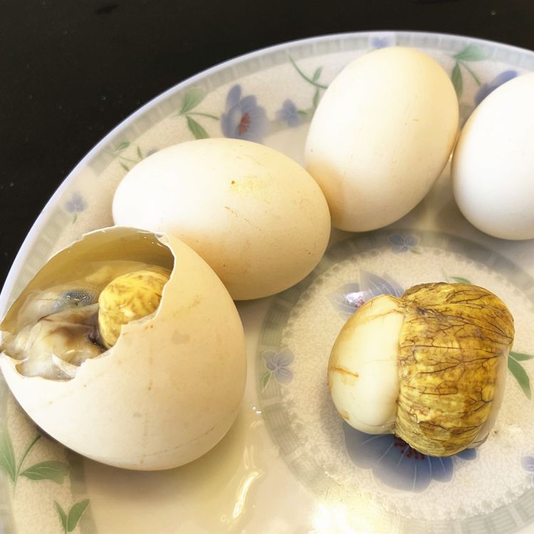 [毛蛋批发] 活珠子 毛蛋 钢化蛋 喜蛋 旺鸡蛋 鸡胚