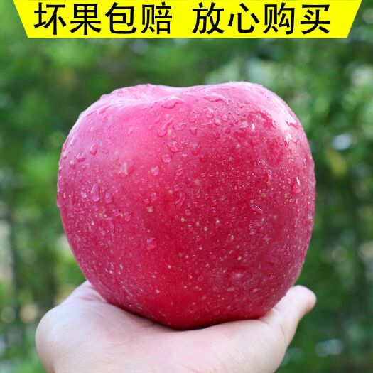 隰县玉露香梨 苹果  红富士