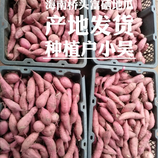 黄心红薯  产地海南桥头富硒地瓜    精选小果批发  产地