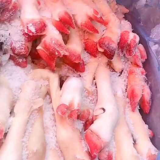 阳信县 水退羊蹄