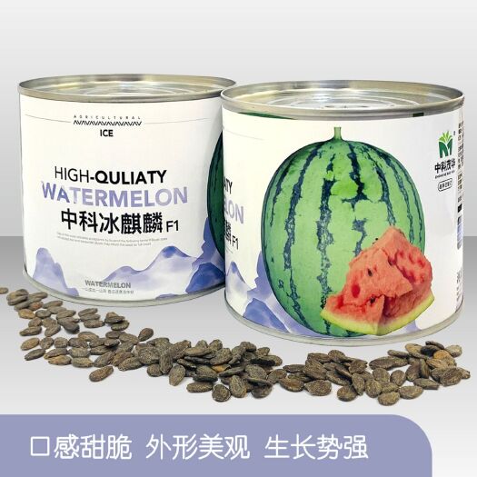夏邑县金麒麟西瓜种子  中科冰麒麟西瓜种子，桃红肉，超甜多汁，甜脆
