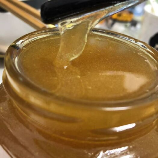 博白县广西龙眼蜜