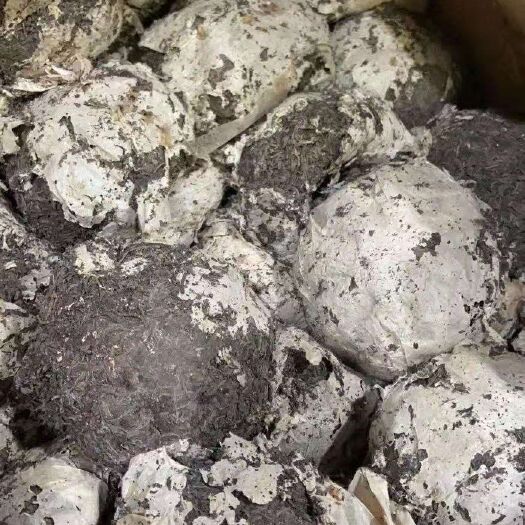 梧州黑茶沱茶 80年代沱茶