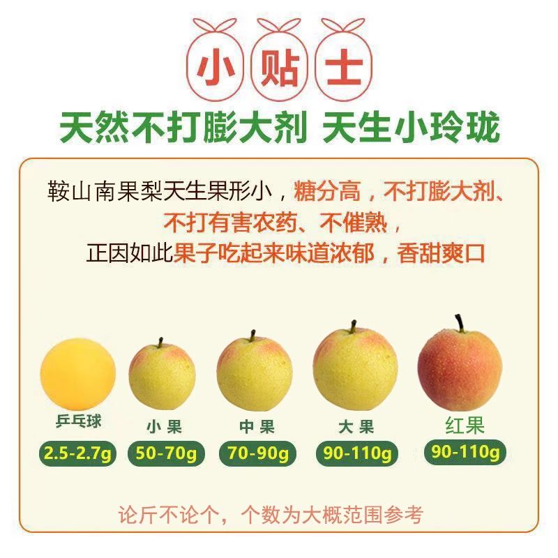  东北南果梨 鞍山南果梨  汁多细腻  梨中皇后