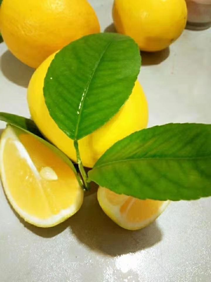  海南黄柠檬万州基地产地直销