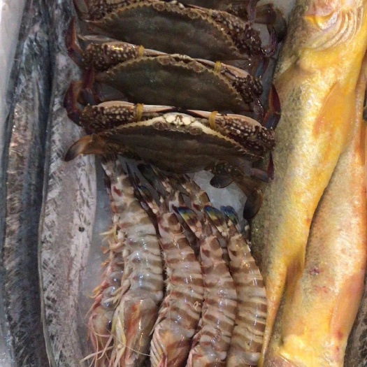 冰冻小黄鱼 浙江东海海鲜，味鲜物美价优。