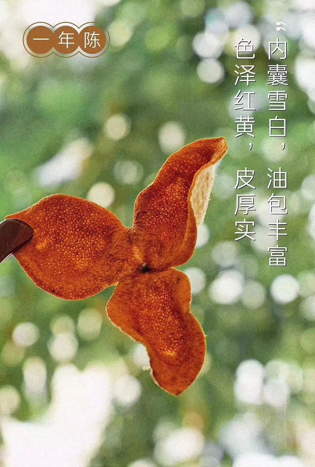  茶坑陈皮