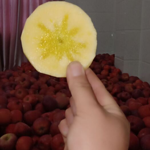 昭通 云南昭通丑苹果，自己家种的冰糖心丑苹果等你来品尝