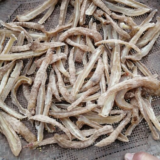 麻城市 天然天麻