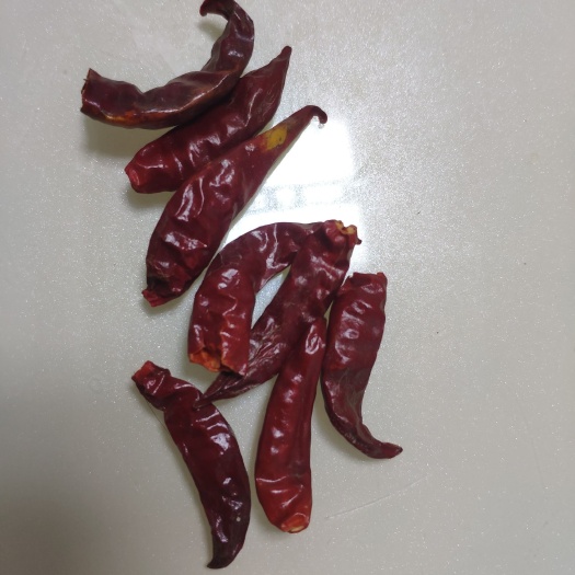 泰安 干辣椒朝天椒