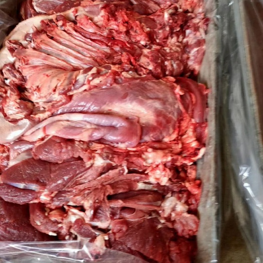 利津县羊肉类 冻板肉