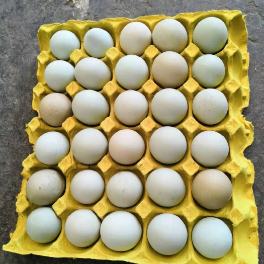 昆明绿壳鸡蛋 食用 箱装