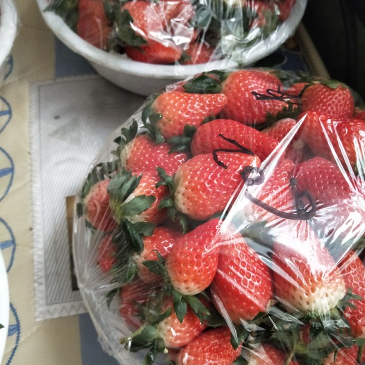 甜宝草莓 20克以上