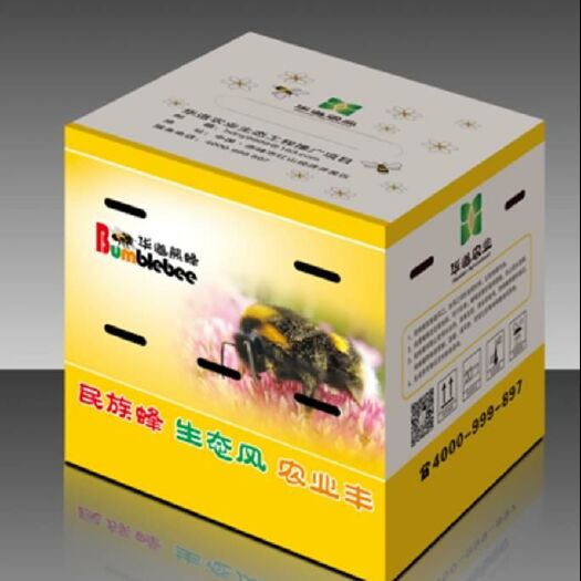 赤峰 熊蜂授粉，生态安全，增产提质，内有蜂王