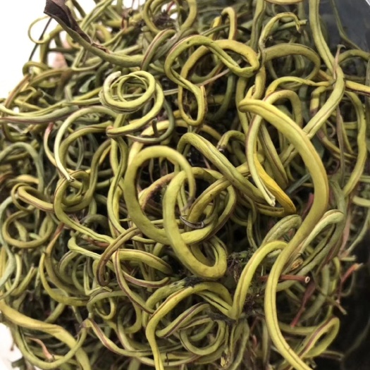 化石草肾精茶