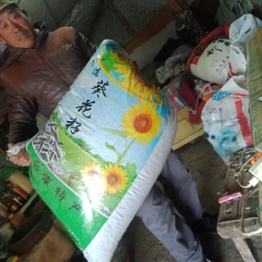 张北县361葵瓜子 363葵花籽种植地直供现货