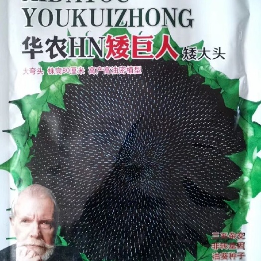 夏邑县向日葵种子 华农HN矮巨人油葵种子抗病抗倒伏抗旱适应性广