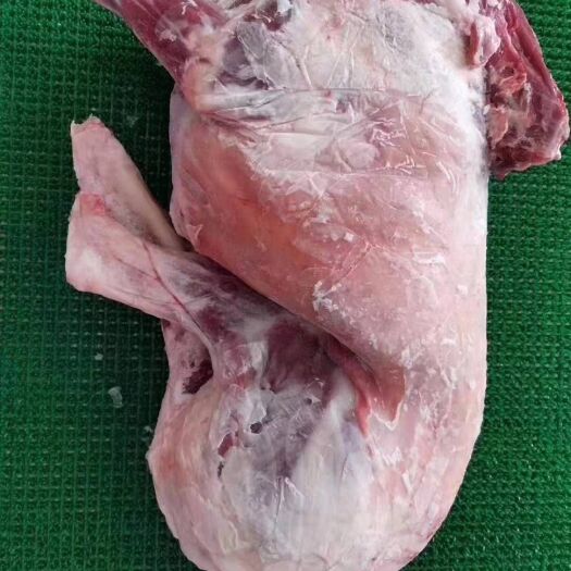 巴林右旗羊蝎子 绵羊山羊小全羊