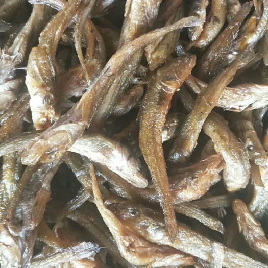 泰和县 油炸小黄鱼干（无胆全是肉）品相一流口感一流(一手货源)