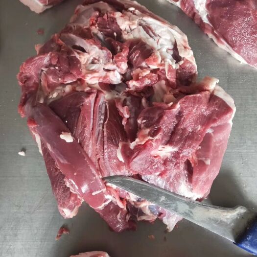 秦皇岛 羊肉
