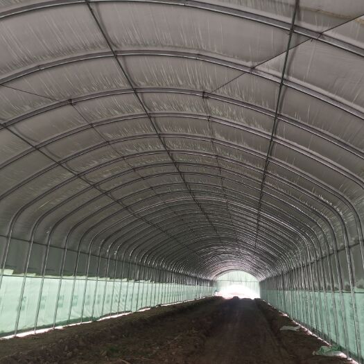 怀远县 专业搭建养殖大棚