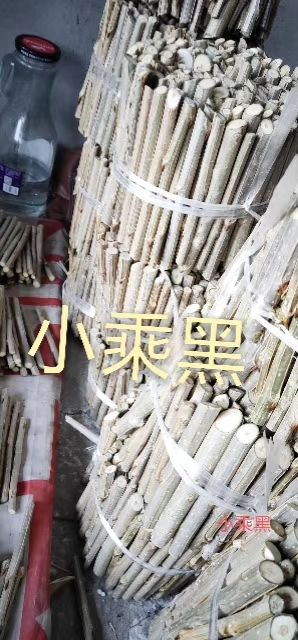 其它苗木