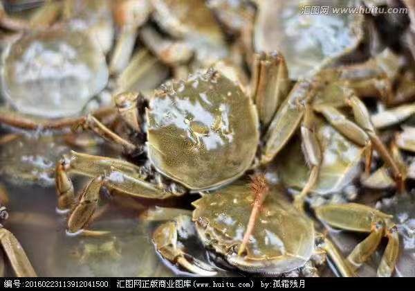 三河市 二元小河蟹，基本全母，个个满黄，蒸，煮，香辣蟹，好吃不贵，