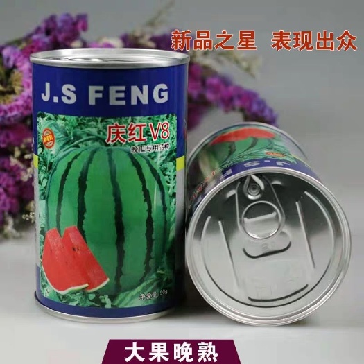  庆红西瓜种子庆红V8西瓜种子晚熟大果型高产大红瓤东北大地雷甜