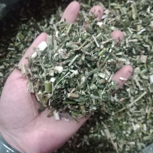 安国市益母草各种规格草药批发