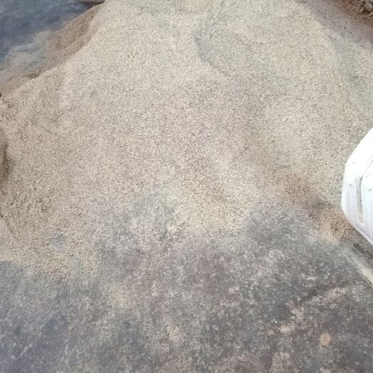 东源县野生山茶油 绝，天然，假一赔千