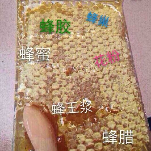 泰安蜂巢蜜  纯蜂蜜