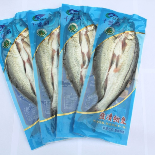 长沙翘嘴红鲌 千龙湖翘嘴红鮊盐渍鮊鱼