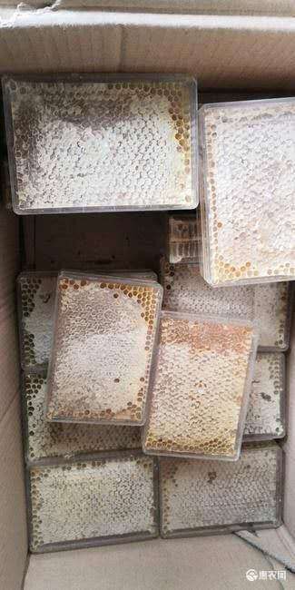 蜂巢蜜  硬货原蜜  来自一哥蜂厂直供