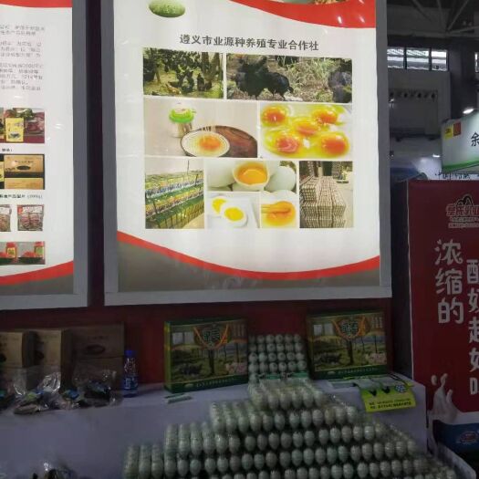 遵义 绿壳鸡蛋