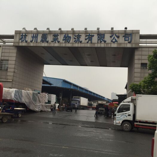 杭州 华东地区冬笋实力批发商，价格随行情，质量有保障。