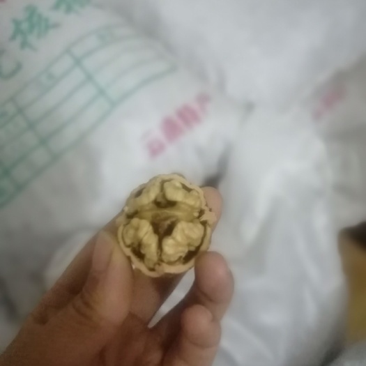 兴仁市 野生薄皮核桃