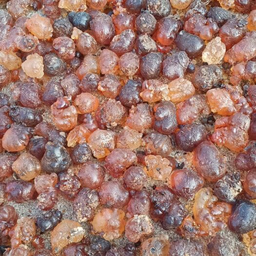 枣阳市食用桃胶 大颗粒毛料