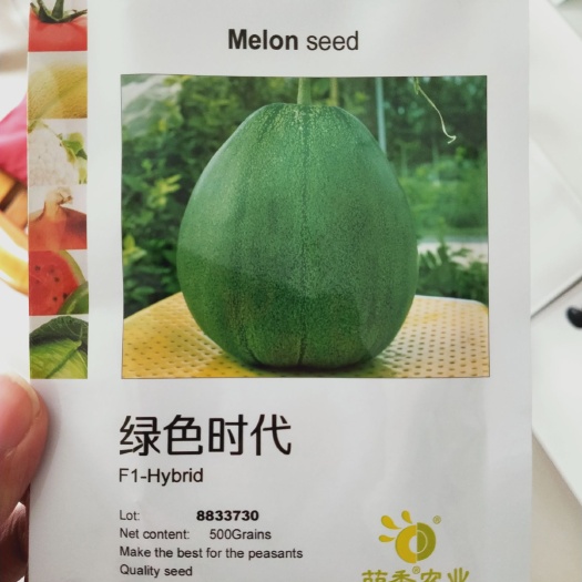 商丘 新培育绿皮绿肉新甜瓜种子–绿色时代